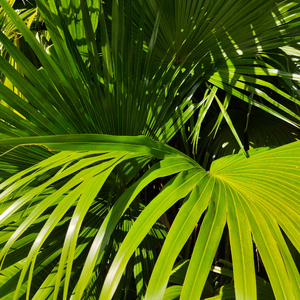 孕妇孕交❌❌❌Ss
