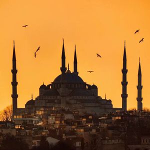 孕妇孕交❌❌❌Ss
