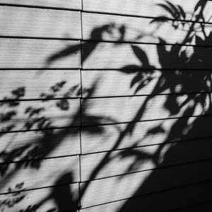 孕妇孕交❌❌❌Ss
